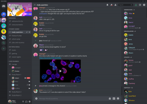 Download discord messenger for pc windows