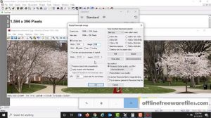 download irfanview image viewer and editor for windows
