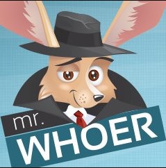 download whoer vpn offline installer for windows