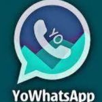 youwhatsapp apk download free